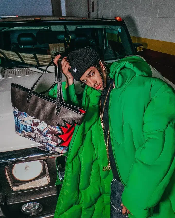 $BOLSO HARKBITE TOTE
