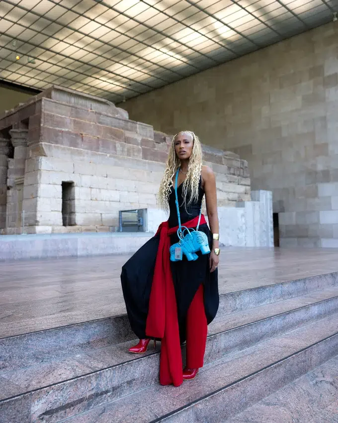 EL BOLSO DE MANO «THE MET WILLIAM»