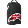 LA MOCHILA DEFINITIVA (DLXV)