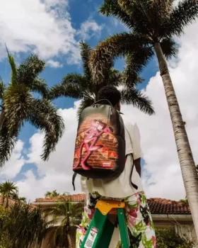 Mochila DLXR de la Pantera Rosa «Can’t Catch Me»