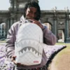 Mochila MONEY PATTERN POWDER (DLXV)