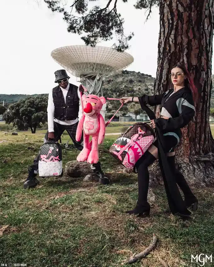 Mochila PINK PANTHER THE REVEAL (DLXV)