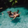 SHARK STASH - FLOTADOR PARA FIESTA EN LA PISCINA