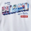 SUDADERA CON CAPUCHA MIAMI VICE (BLANCA)